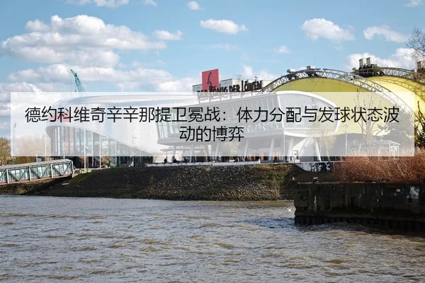 de-yue-ke-wei-qi-xin-xin-na-ti-wei-mian-zhan-ti-li-fen-pei-yu-fa-qiu-zhuang-tai-bo-dong-de-bo-yi-3-111.jpg